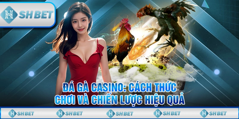 đá gà casino