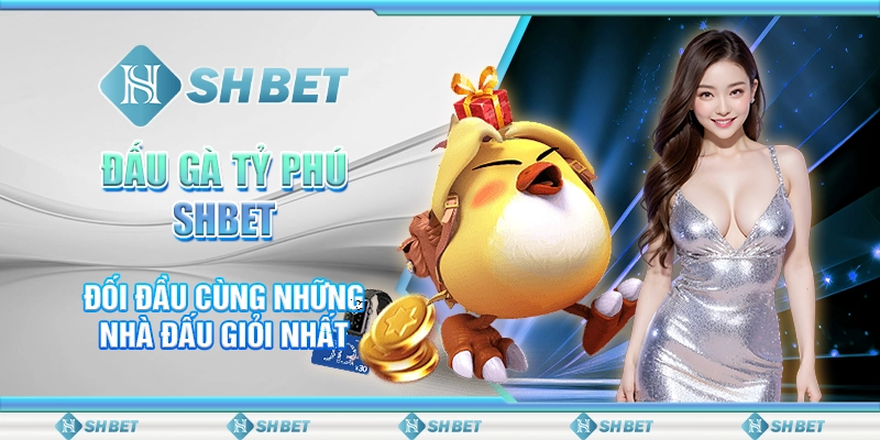 Đấu Gà Tỷ Phú SHBET - Đối Đầu Cùng Những Nhà Đấu Giỏi Nhất