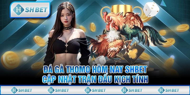  Đá Gà Thomo Hôm Nay SHBET - Cập Nhật Trận Đấu Kịch Tính