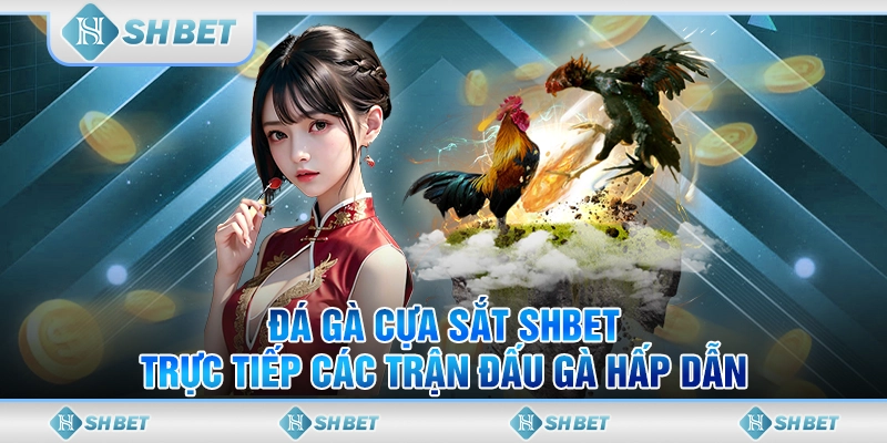 đá gà cựa sắt