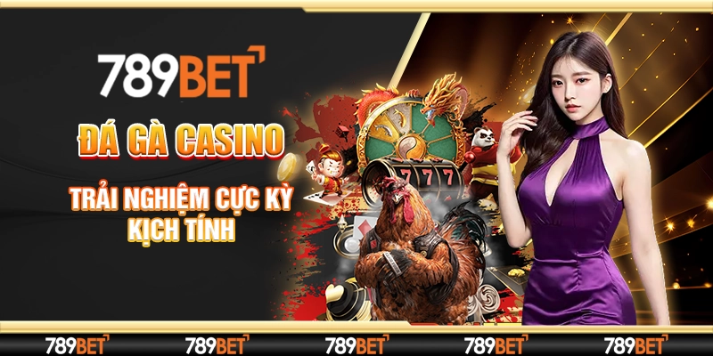 đá gà casino