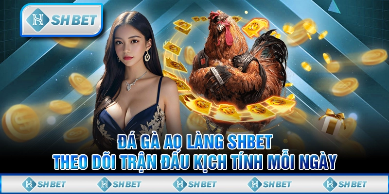 Đá Gà Ao Làng SHBET - Theo Dõi Trận Đấu Kịch Tính Mỗi Ngày