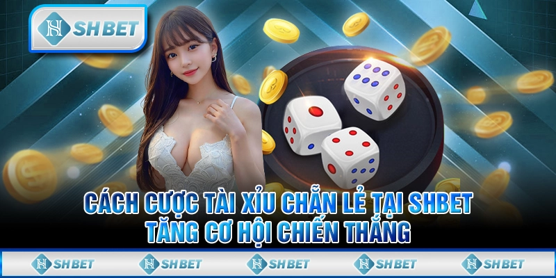Cách Cược Tài Xỉu Chẵn Lẻ Tại SHBET - Tăng Cơ Hội Chiến Thắng