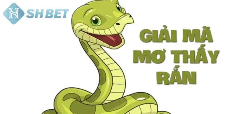 Nằm mơ thấy rắn phản ánh ý nghĩa tâm linh cụ thể
