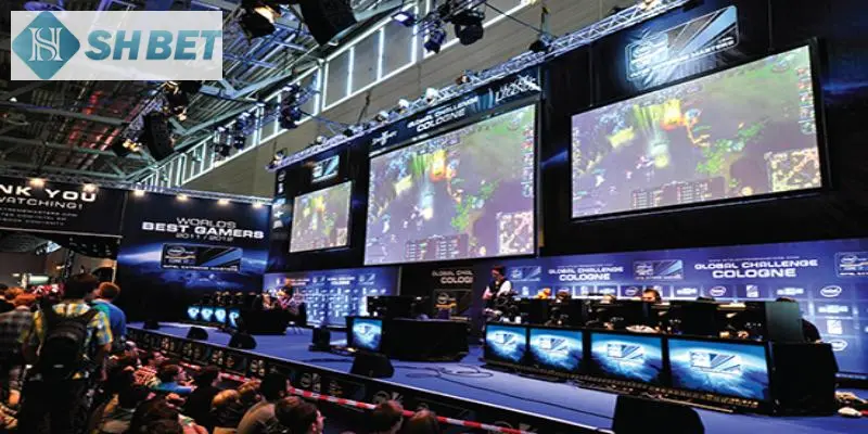 Bí kíp cá cược esport “khó mà thua” của cao thủ