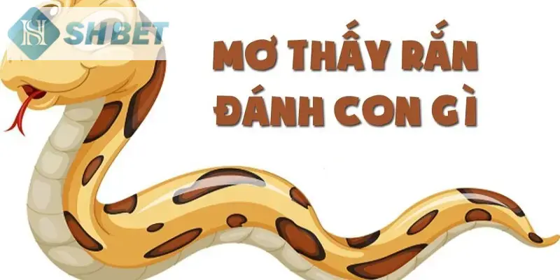Người mơ có thể chiêm bao thấy cảnh tượng rắn đuổi theo mình