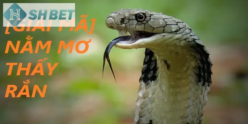 Đừng bỏ qua mẹo tận dụng giấc mơ và con số hiệu quả