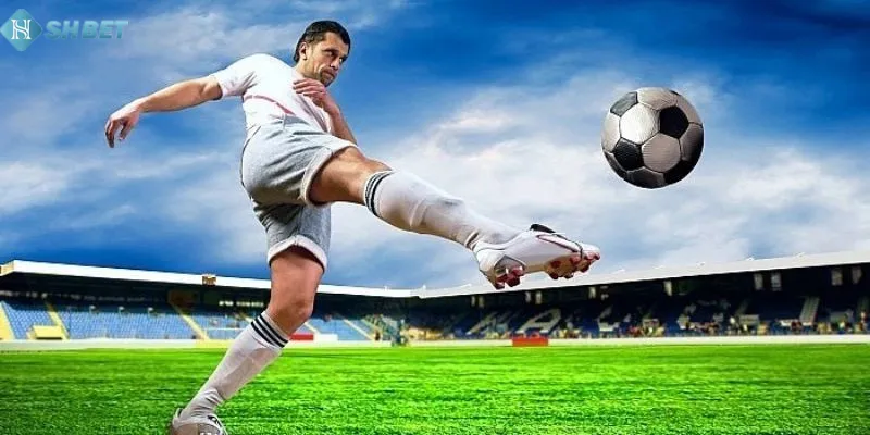 Khám phá những mẹo để luôn đặt đúng tỷ lệ kèo nhà cái