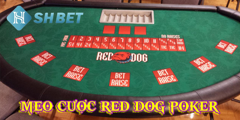 Mẹo cược red dog poker trăm trận trăm thắng