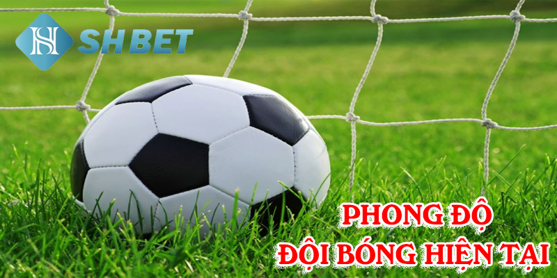 Phong độ đội bóng hiện tại cập nhật liên tục