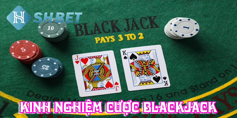 Kinh nghiệm cược Blackjack trong sòng bài