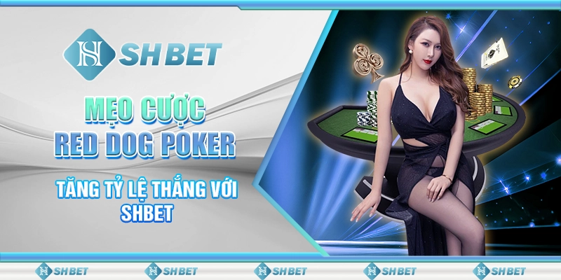 Mẹo Cược Red Dog Poker - Tăng Tỷ Lệ Thắng Với SHBET