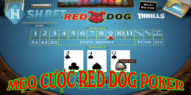 Lợi ích dễ thấy từ tựa game poker