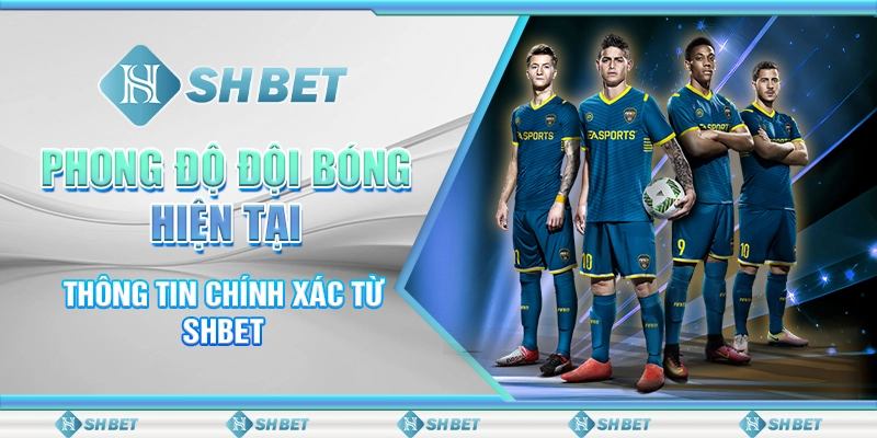 Phong Độ Đội Bóng Hiện Tại - Thông Tin Chính Xác Từ SHBET