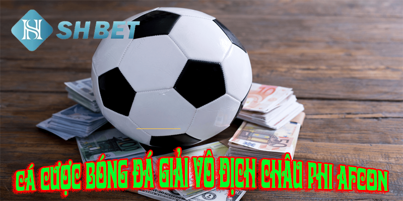 Cá cược giải vô địch châu phi AFCON hấp dẫn gay cấn