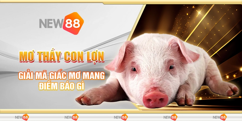 Mơ Thấy Con Lợn
