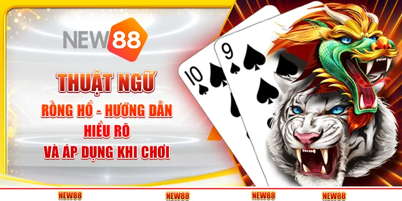 Thuật Ngữ Rồng Hổ