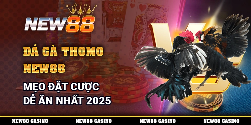 Đá Gà Thomo