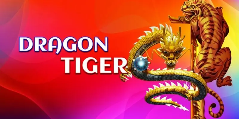 Cách chơi rồng hổ hiệu quả