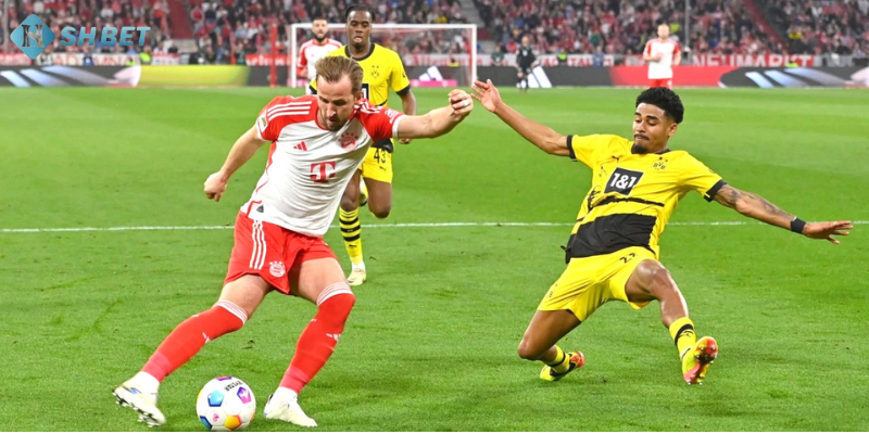 Giao diện cá cược Bundesliga tại Shbet, cung cấp kèo cược hấp dẫn và nhiều ưu đãi đặc biệt