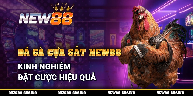 Đá Gà Cựa Sắt