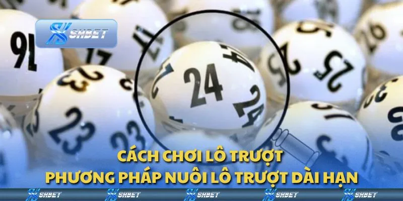 Cách chơi lô trượt - Phương pháp nuôi lô trượt dài hạn