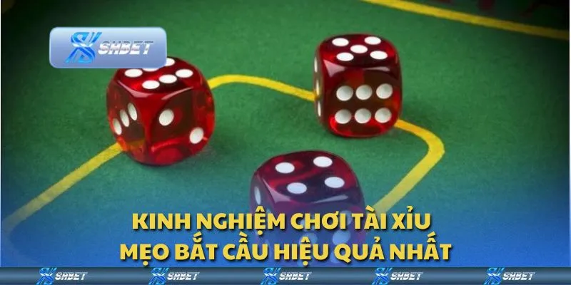 Kinh nghiệm chơi Tài Xỉu - Mẹo bắt cầu hiệu quả nhất