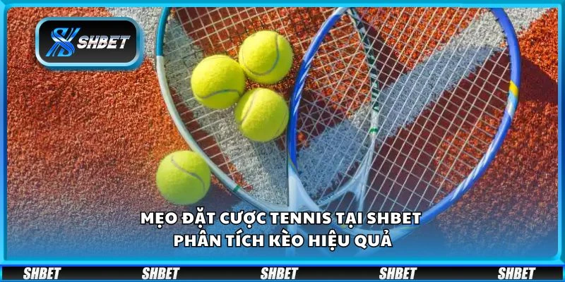 Mẹo đặt cược tennis tại Shbet - Phân tích kèo hiệu quả