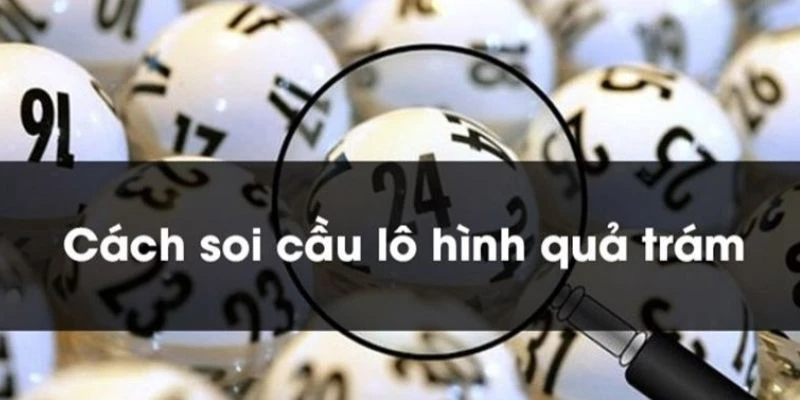 Khám phá cơ bản về cầu quả trám