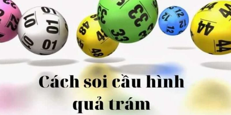 Mẹo soi cầu quả trám thực tế từ chuyên gia